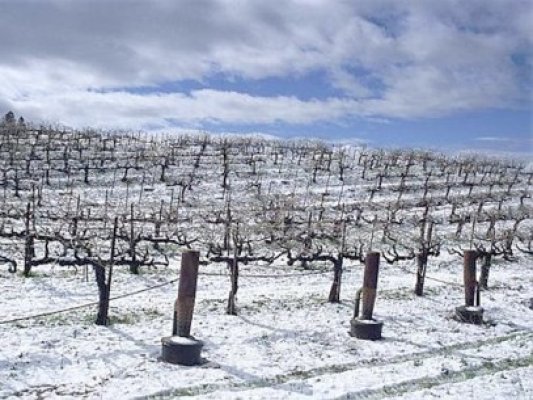 Încep pregătirile pentru campania agricolă de primăvară